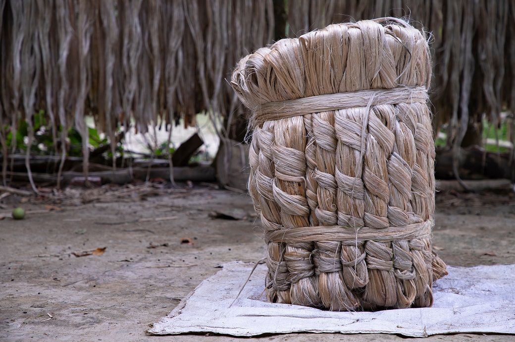 India’s jute output to miss 100 lakh bale mark for 7th year in a row
