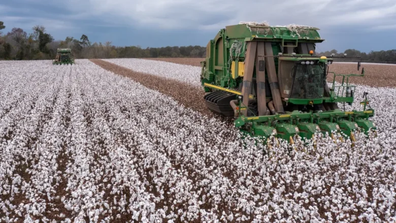Cotton Crisis in America: US Textile Mills Drops to Lowest Since 1885
