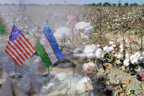 Uzbekistan Explores Cotton Imports from the USA to Fuel Textile Industry Growth